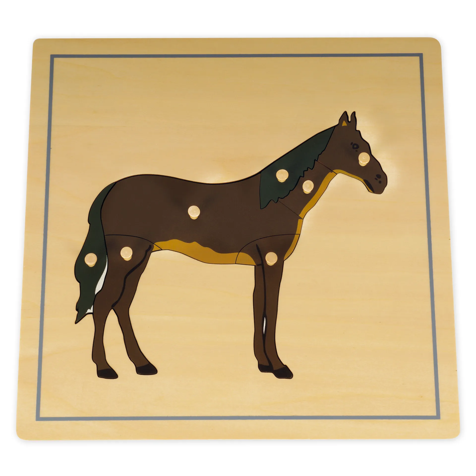 TimeTEX Set Tierpuzzle mit Ständer "Montessori Premium"