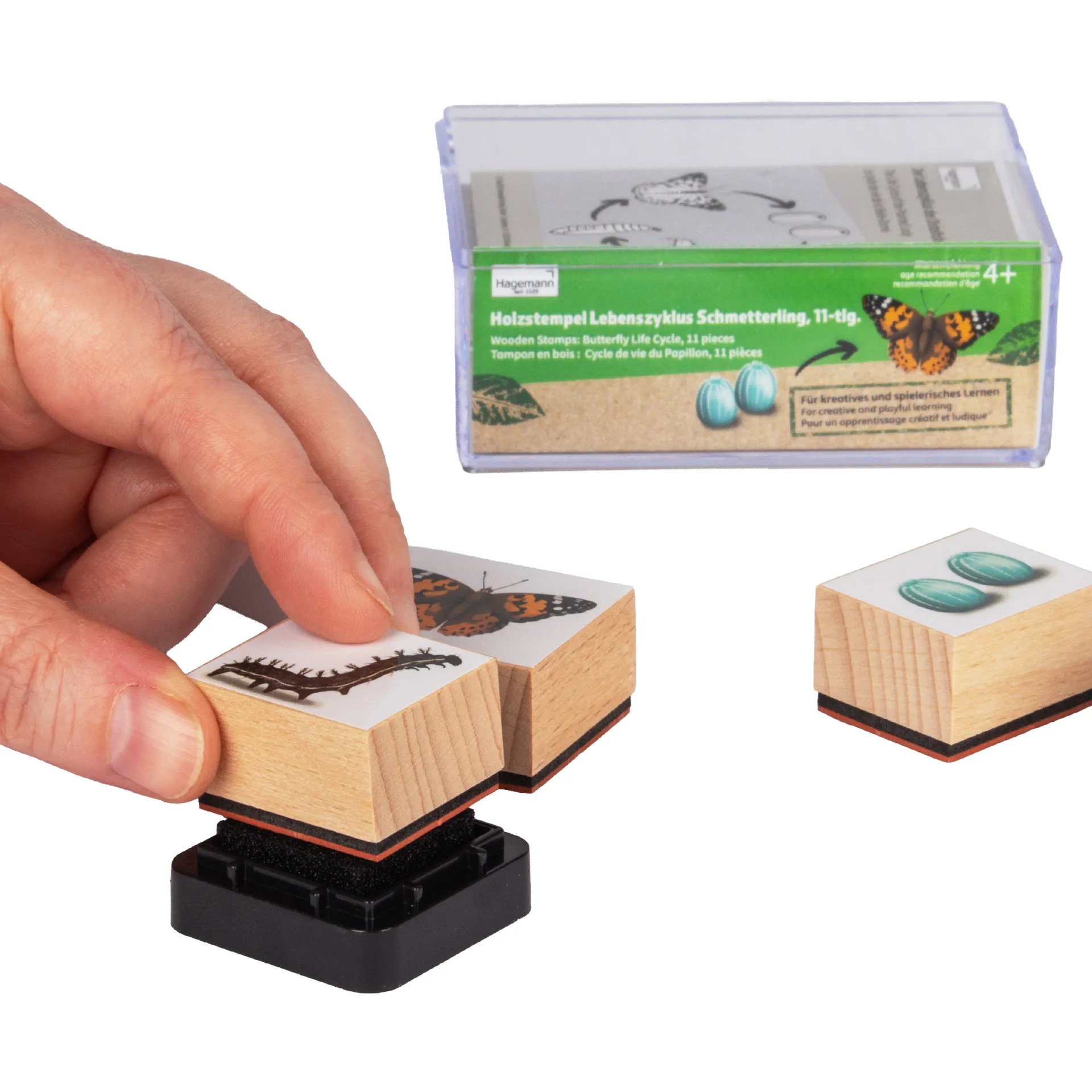 Set Holzstempel "Lebenszyklus Schmetterling", 11-tlg. mit Stempelkissen