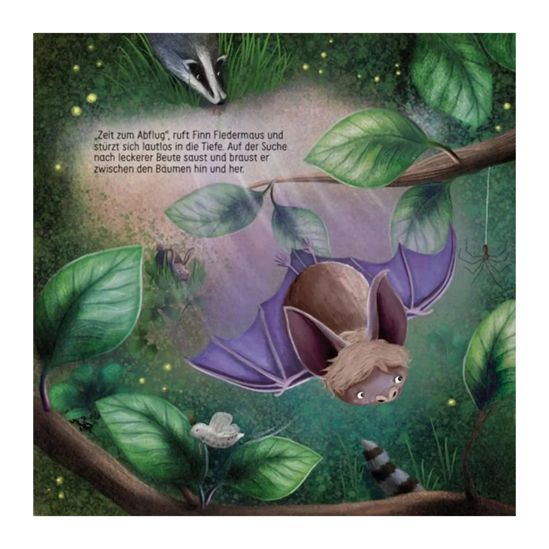 Buch "Finn Fledermaus und das Blenden in der Nacht", 48 Seiten