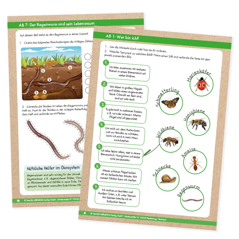 Klappen-Flipchart "Lebenszyklus: Schmetterlinge, Bienen & Co."
