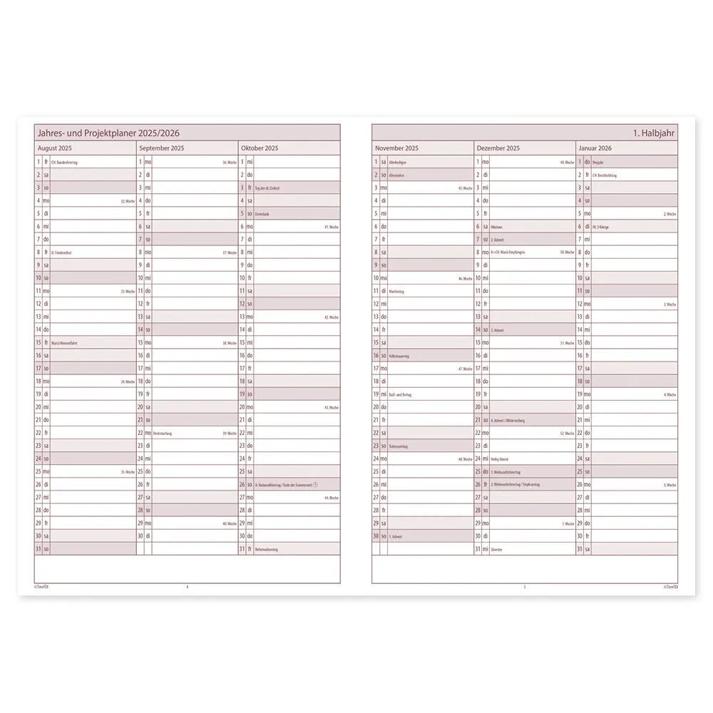 TimeTEX System-Schulplaner A4-Plus, gelb 2025/2026