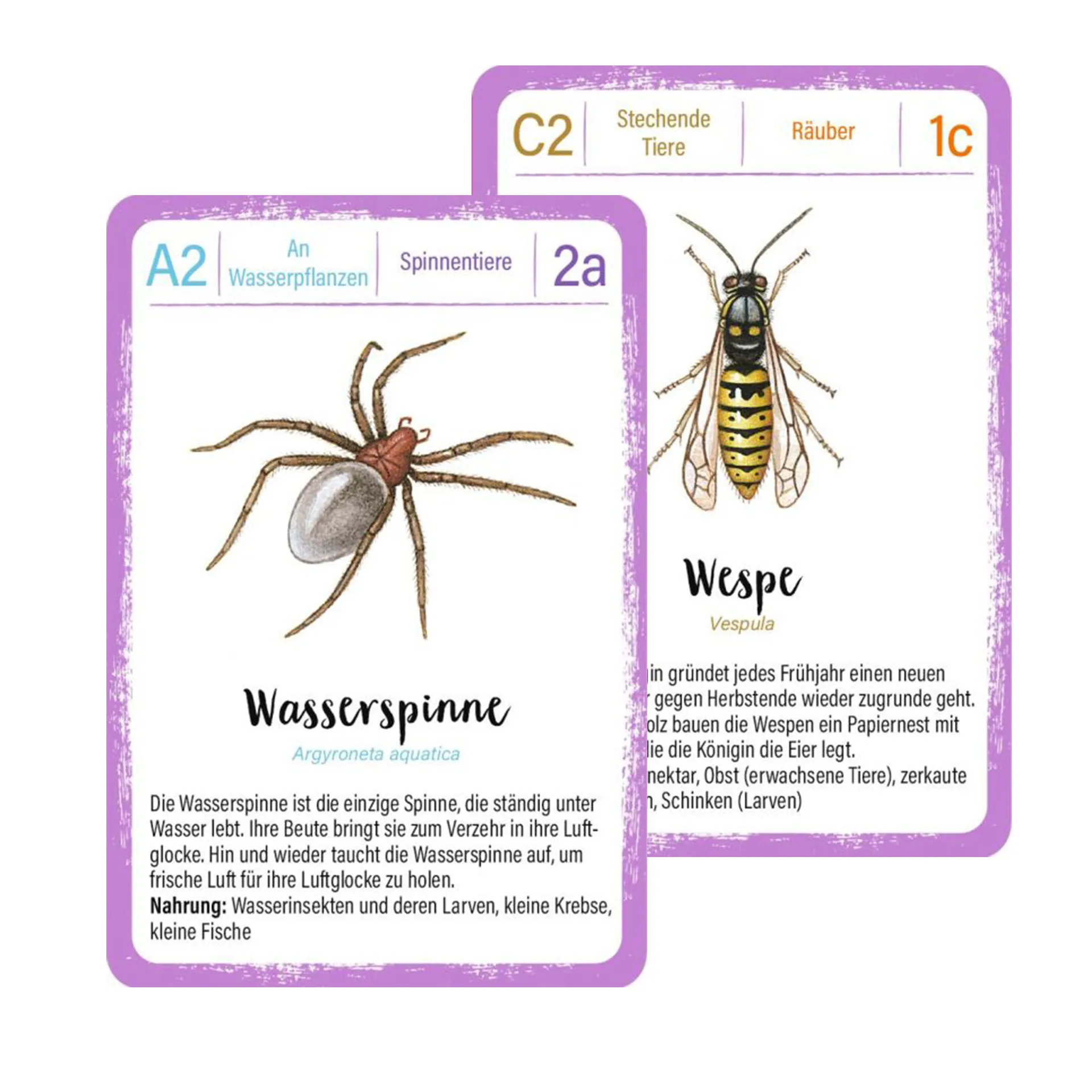 Lernspiel "Minimonster Insekten-Quartett", 32 Karten