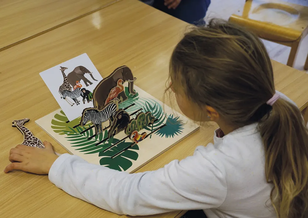 Lernspiel "Blick in den Dschungel", 16-tlg.