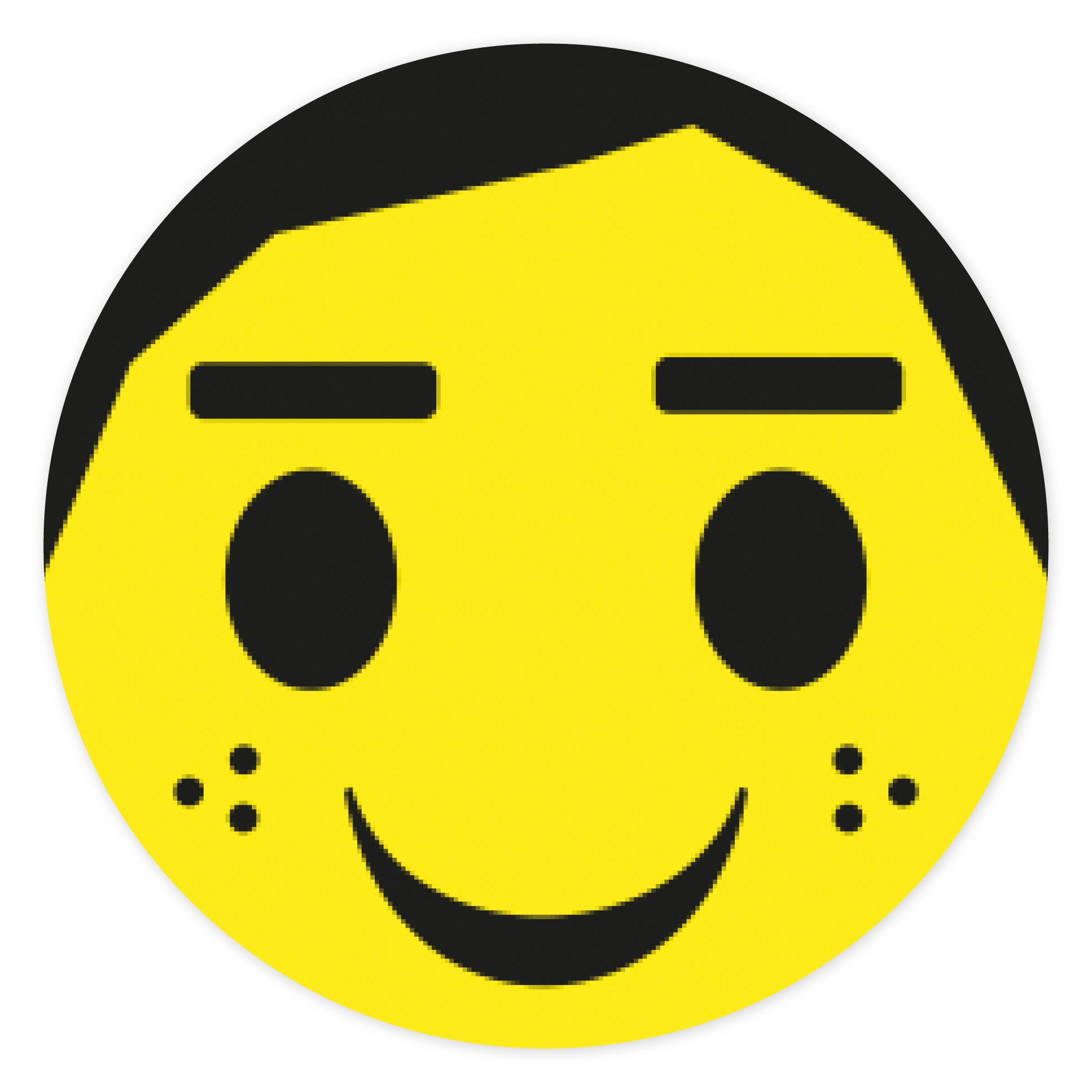 Magnetiska bitar 2-sidiga "ansikten"