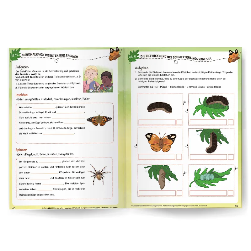 Pädagogisches Kinderbuch "Lou, Lisa und die Schmetterlinge – Eine aufregende Verwandlung", 56 Seiten