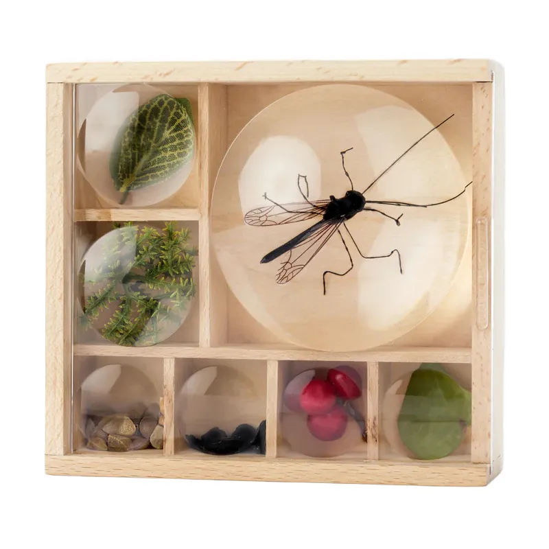 Aufbewahrungs-Box "Mein Insekten- und Naturschätze-Museum", 10,6x11,5 cm