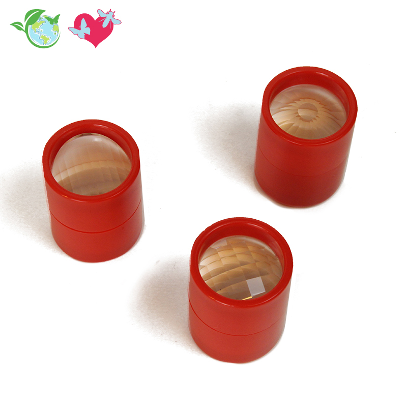 TimeTEX Facetten-Linsen "So sehen Insekten", 3-tlg.