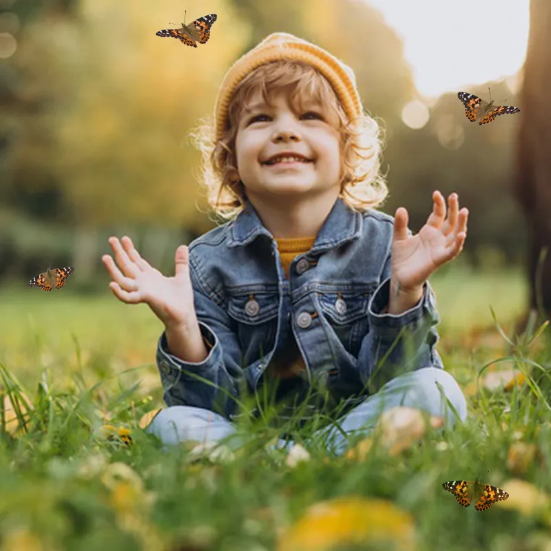 Hagemann kweekset „Vlinders“, 8-delig