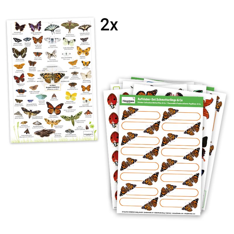 Zuchtset "Schmetterlinge", groß mit XXL-Voliere, 12-tlg.