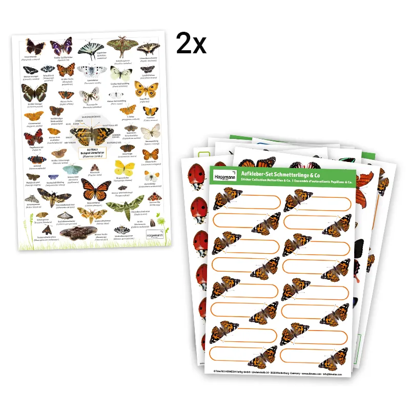 Zuchtset "Schmetterlinge", groß mit XXL-Voliere, 12-tlg.