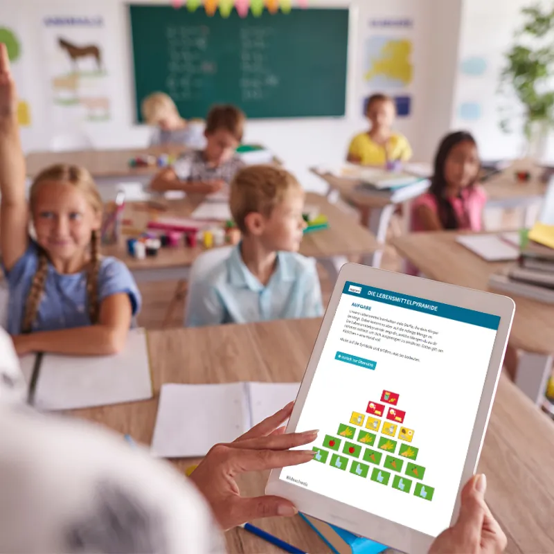 Ernährungspyramide mit Lebensmitteln vegetarisch und klassisch, magnetisch, 129-tlg.