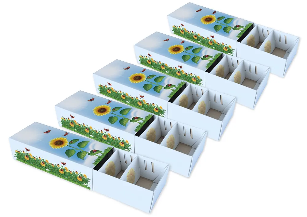 Sæt kartoteksæsker til A8, flade, farvede, 5 stk