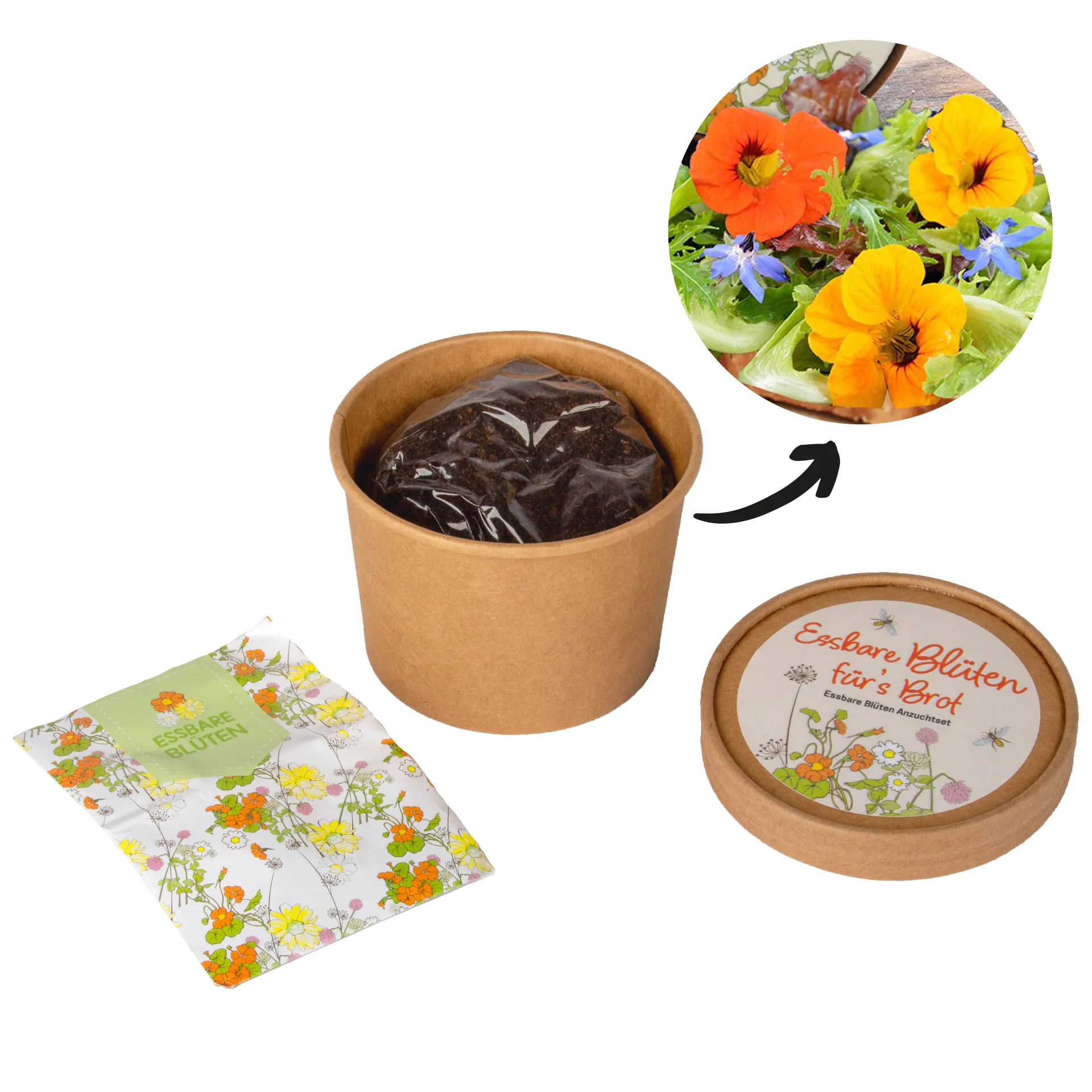 Zuchtset "Butterbrot-Blüten", 4-tlg.