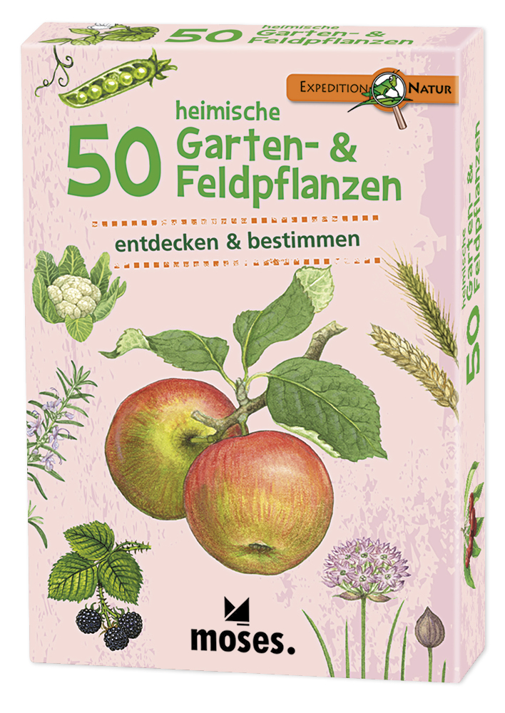 TimeTEX 50 Garten- & Feldpflanzen entdecken und bestimmen