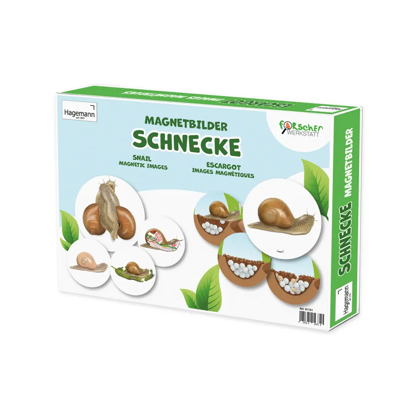 Lebenszyklus und Leben "Schnecke", magnetisch, 24-tlg.