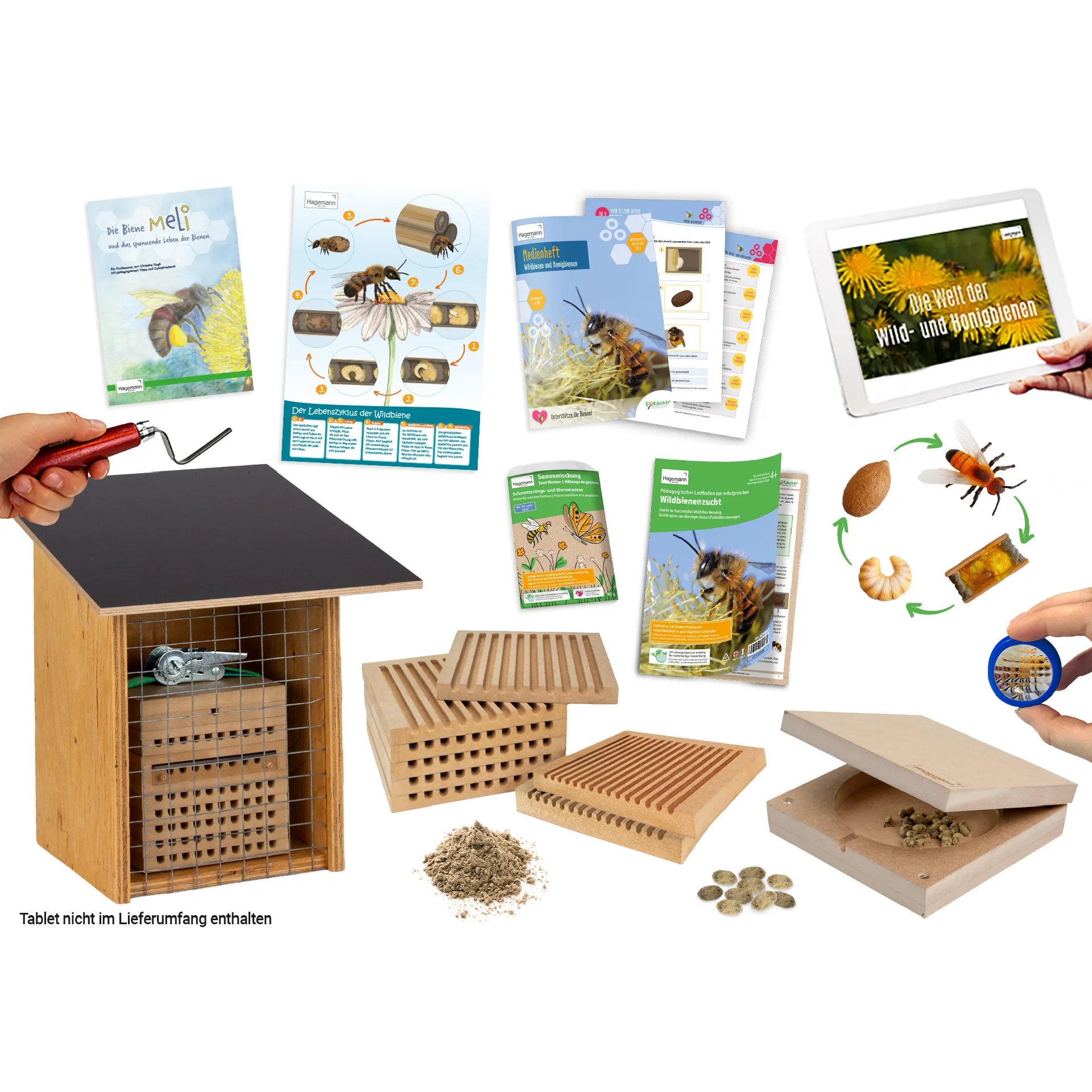 Gruppen-Projektset "Wildbienen", Rote Mauerbiene, 10-tlg.