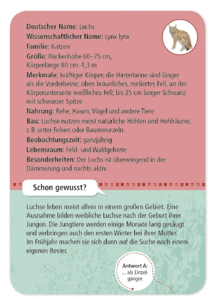 50 Wald- & Wildtiere entdecken und bestimmen