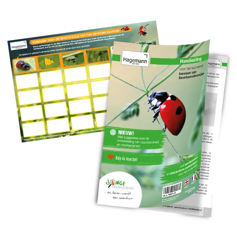 Kweekset lieveheersbeestjes, 5-delige set