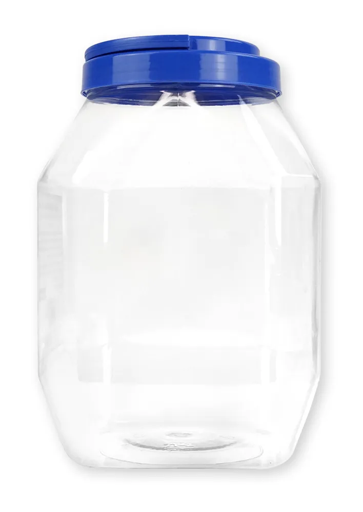 Aufbewahrungsdose groß mit Schraubdeckel blau/grün, transparent