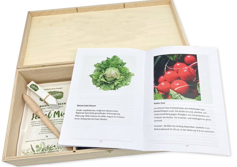 TimeTEX Saatgut-Box "Gartenbox für Kinder", Set 2, 65-tlg.