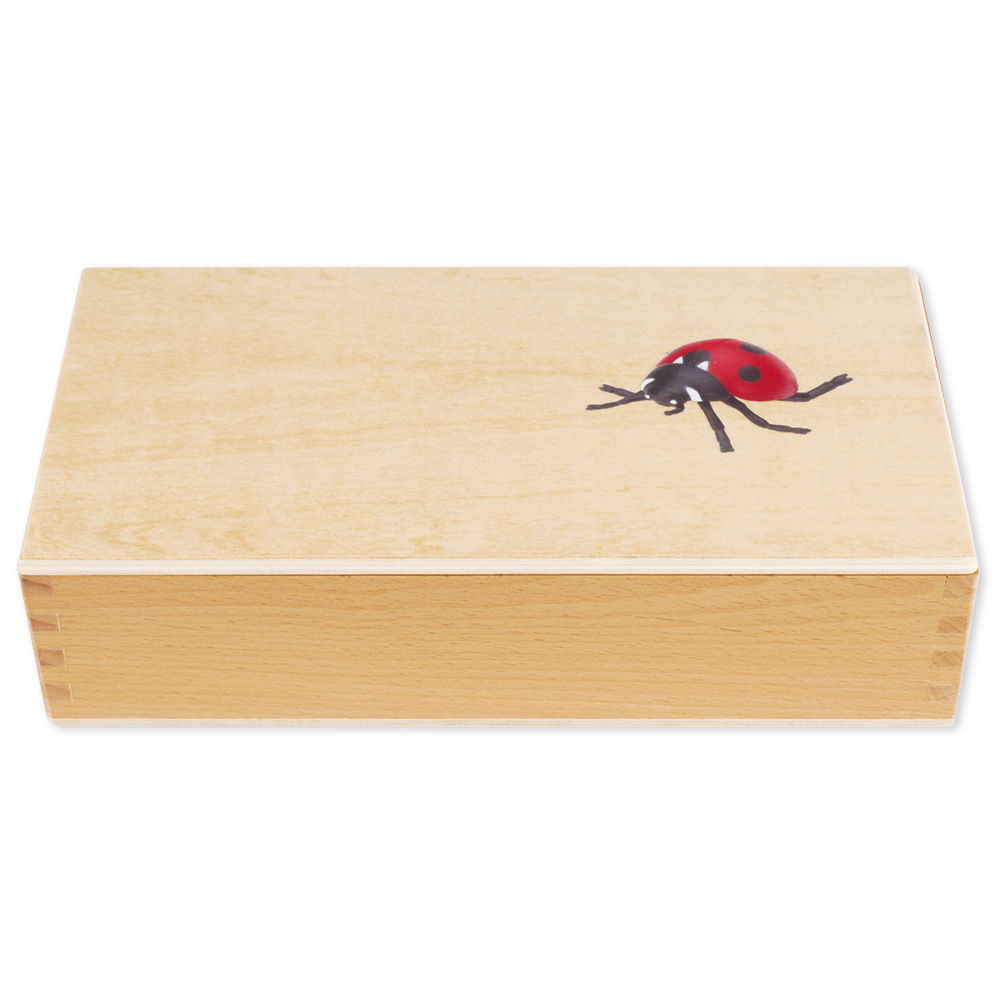 TimeTEX Lebenszyklus eines Marienkäfers, in Holzbox "Montessori Premium" TimeTEX Lebenszyklus eines Marienkäfers, in Holzbox "Montessori Premium"