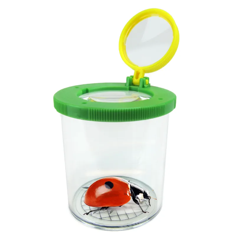 Gruppen-Projektset "Marienkäfer", 9-tlg.