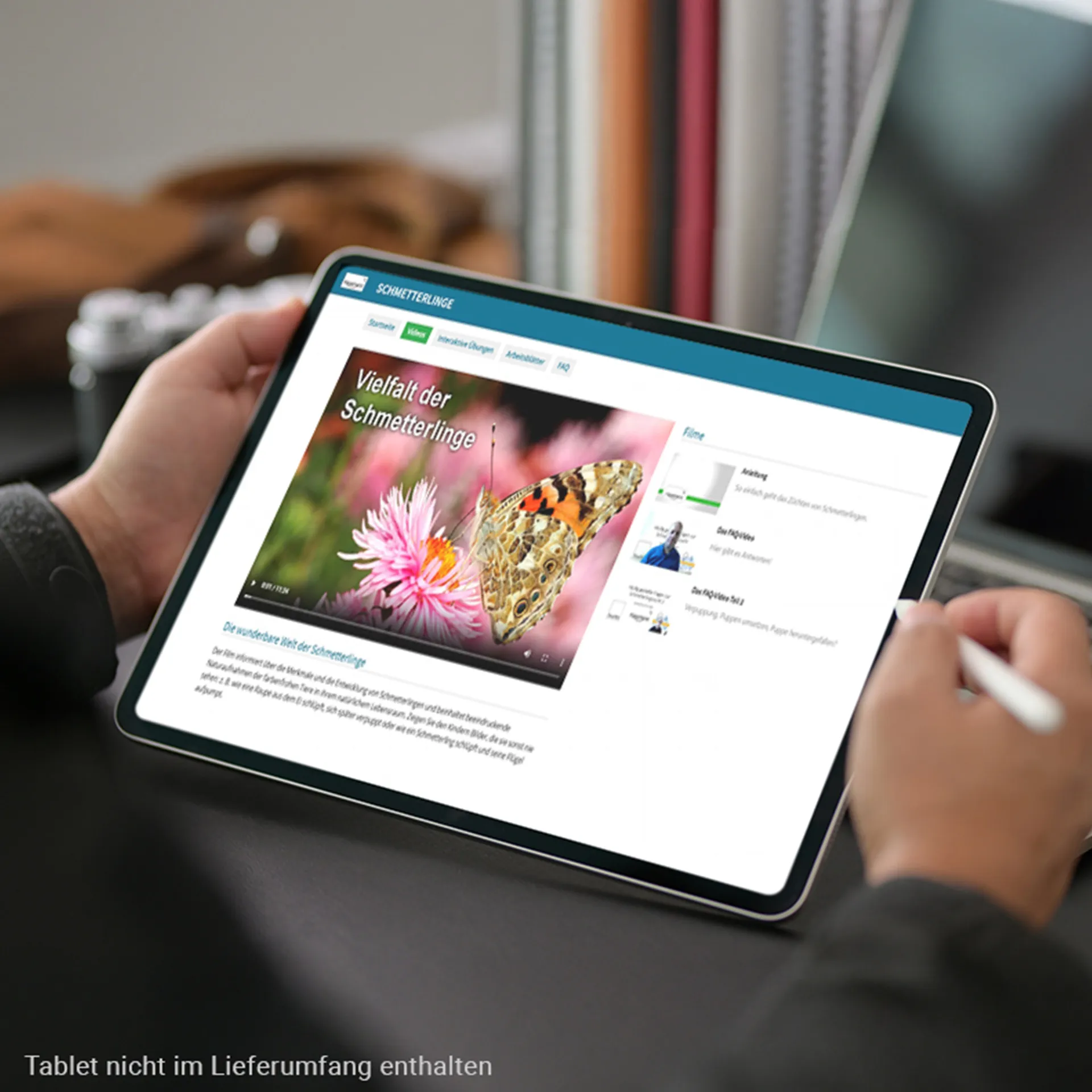Klassen-Projektset "Schmetterlings-Zucht", 65-tlg.