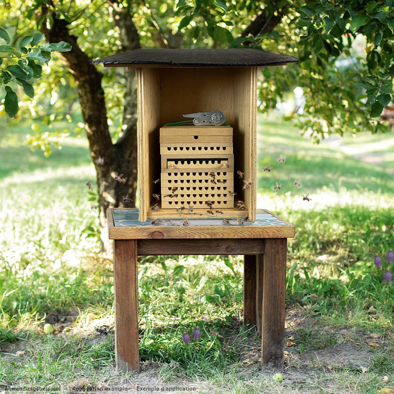 Lockstoff für Bienen und Hummeln, 500 ml