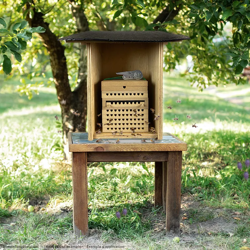 Lockstoff für Bienen und Hummeln, 500 ml