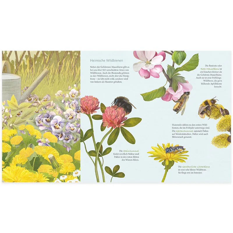 Buch "Ich bau dir ein Haus, kleine Wildbiene!", 40 Seiten