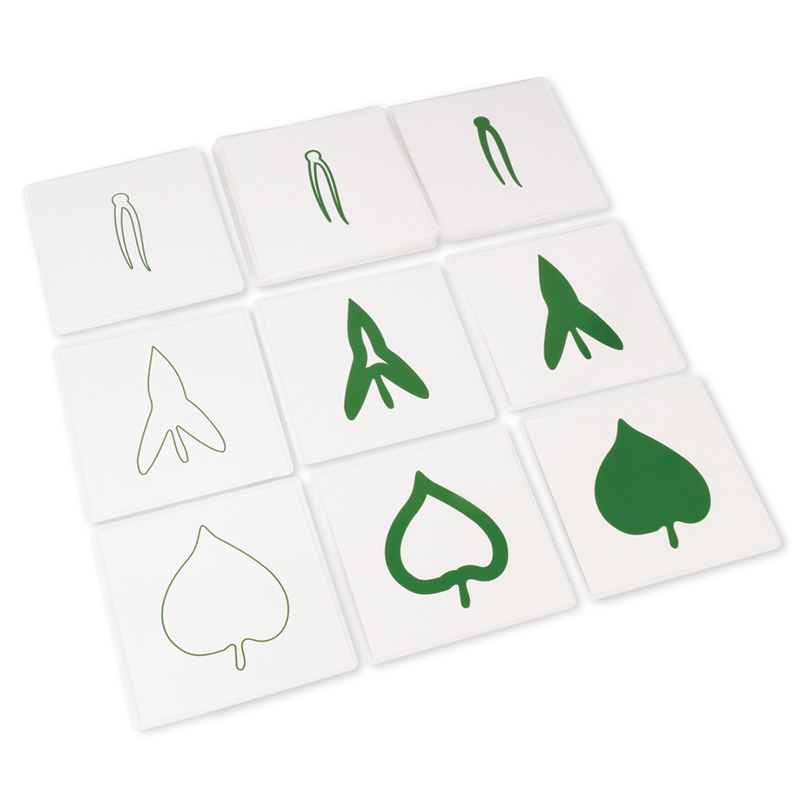 TimeTEX Botanischer Kartensatz "Montessori Premium"