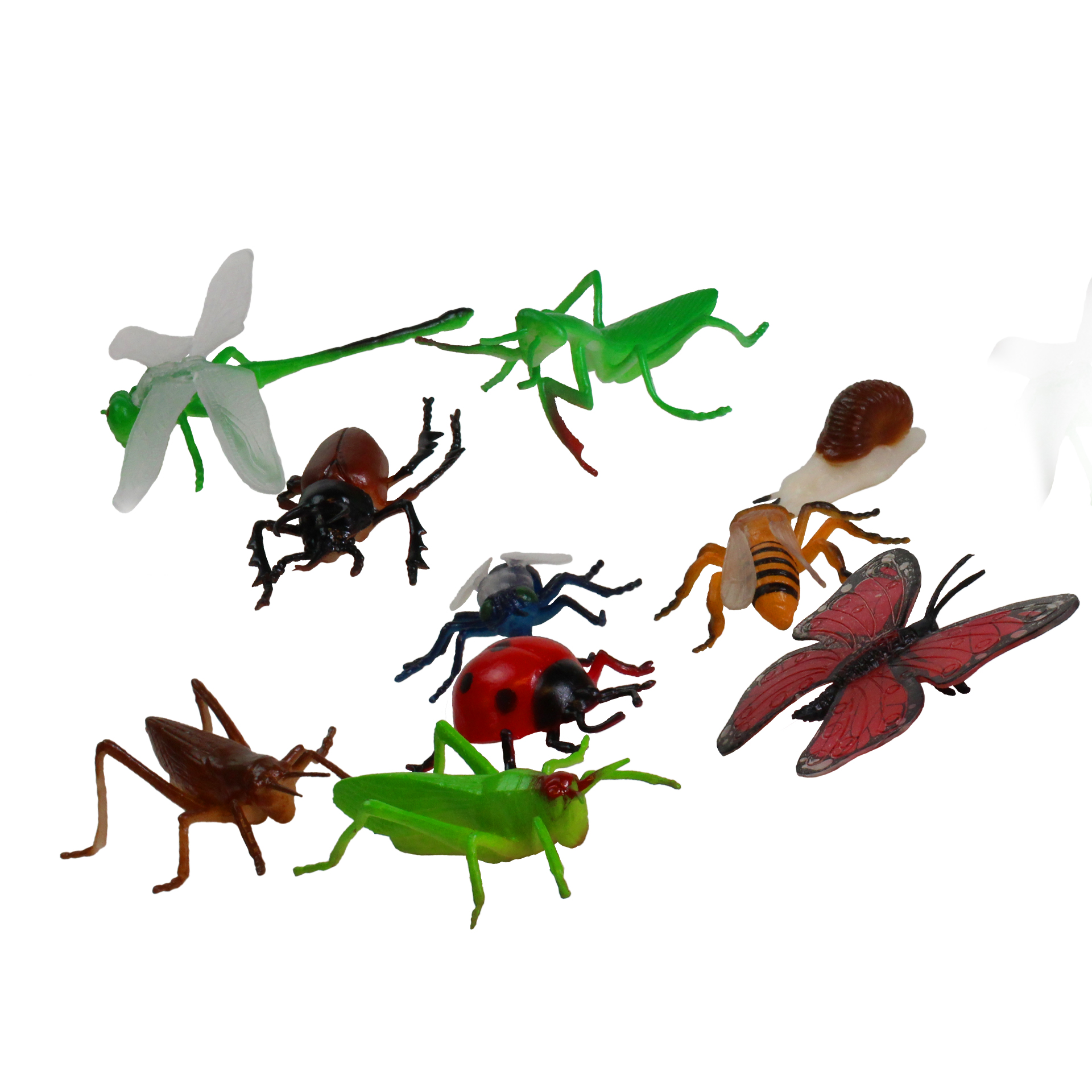 Modell "Insekten & Co.", 10-tlg.