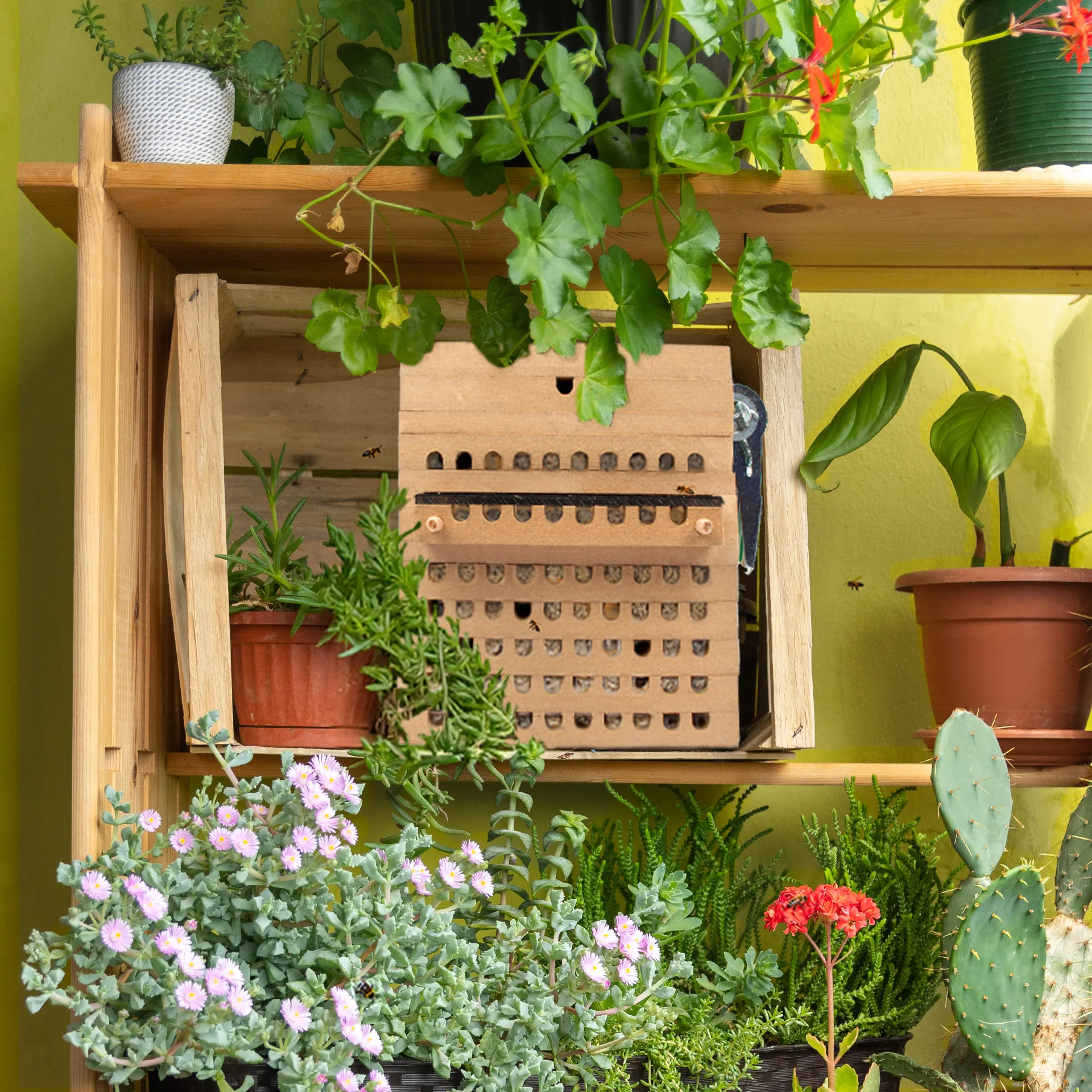 Gutschein-Set "Wildbienen", Rote Mauerbiene, 5-tlg.
