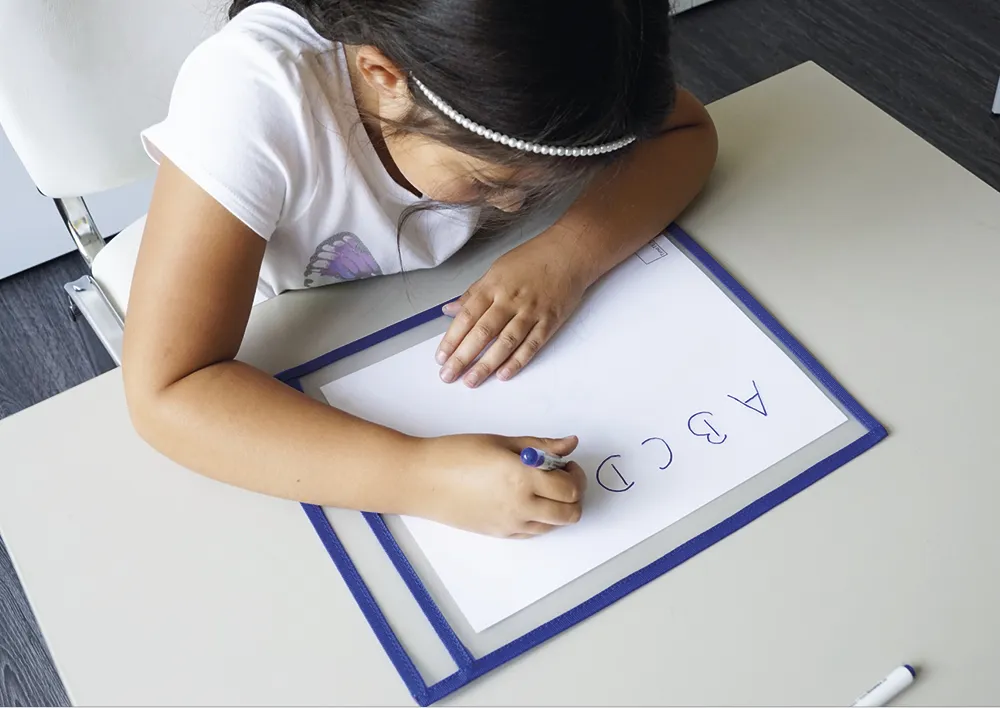 Inlärnings- och samlingsfickor A4-Plus med färgkant, 10 st