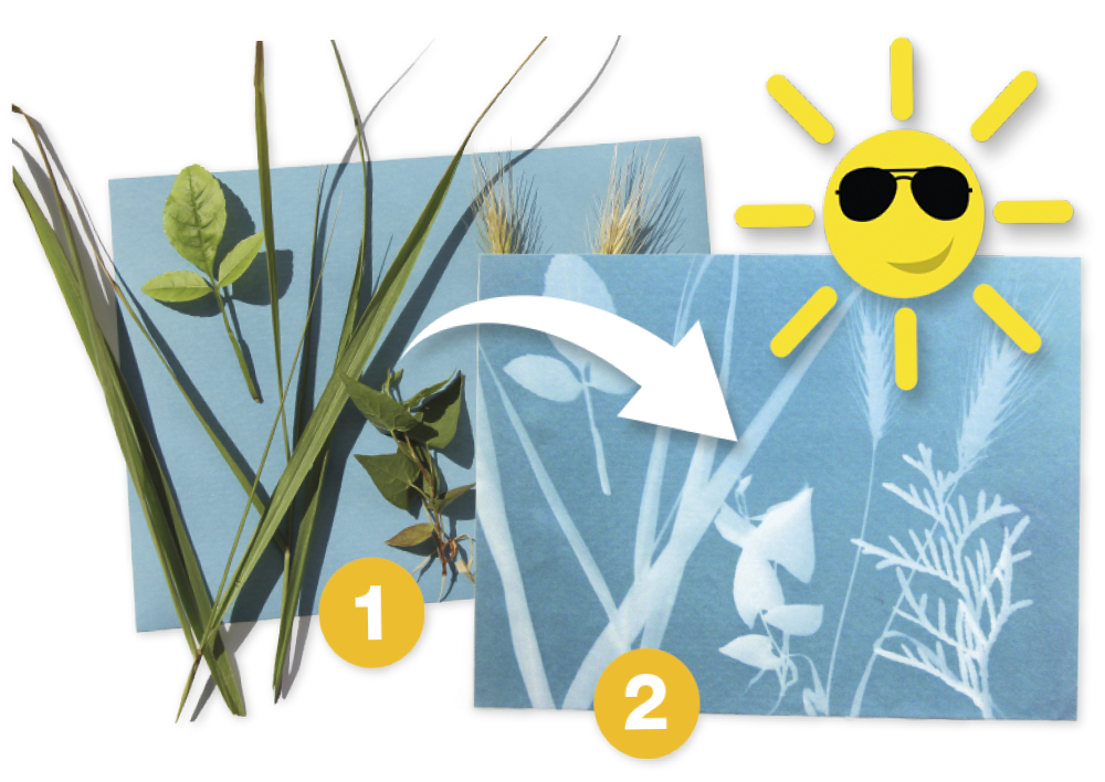Foto-Solarpapier, 40 Stück Foto-Solarpapier, 40 Stück