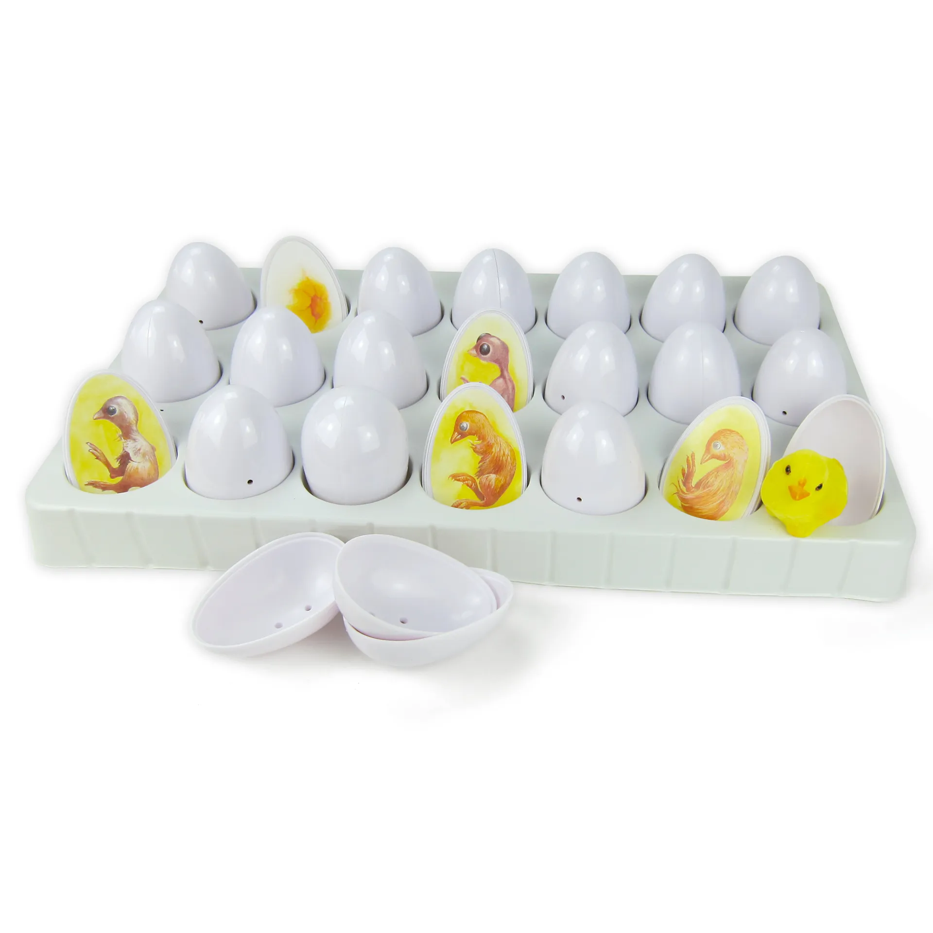 Entwicklungszyklus-Modell "Küken", 22-tlg.