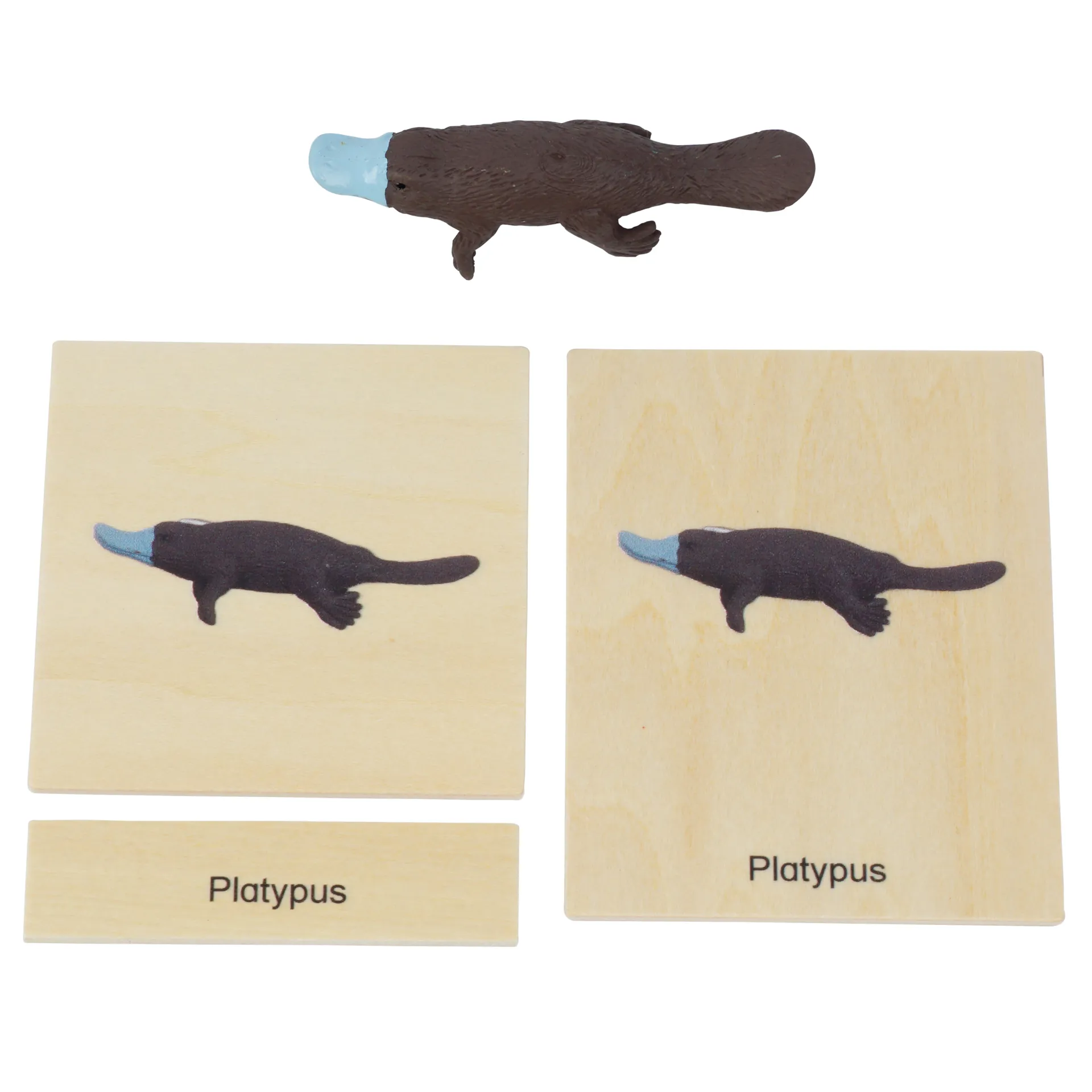 TimeTEX Mini-Tier-Set Australasien "Montessori Premium"