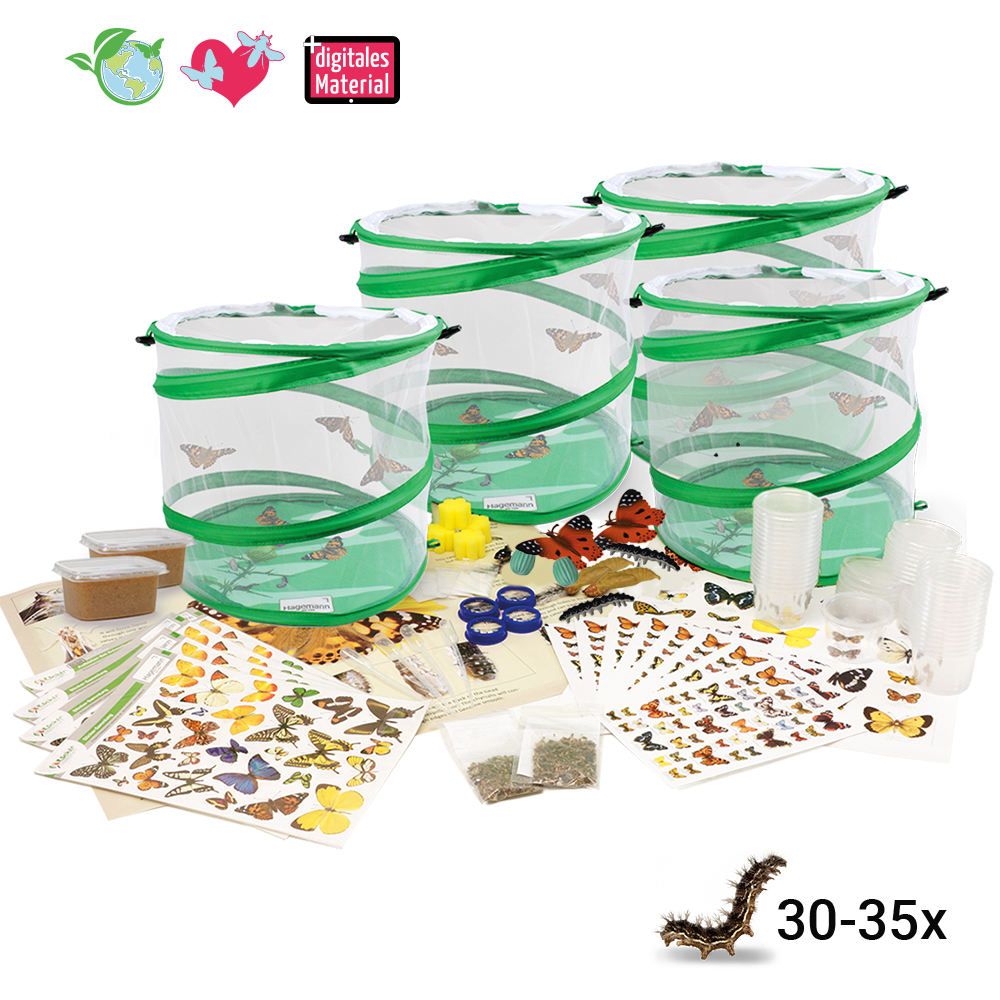 Klassen-Projektset "Schmetterlings-Zucht", 65-tlg.