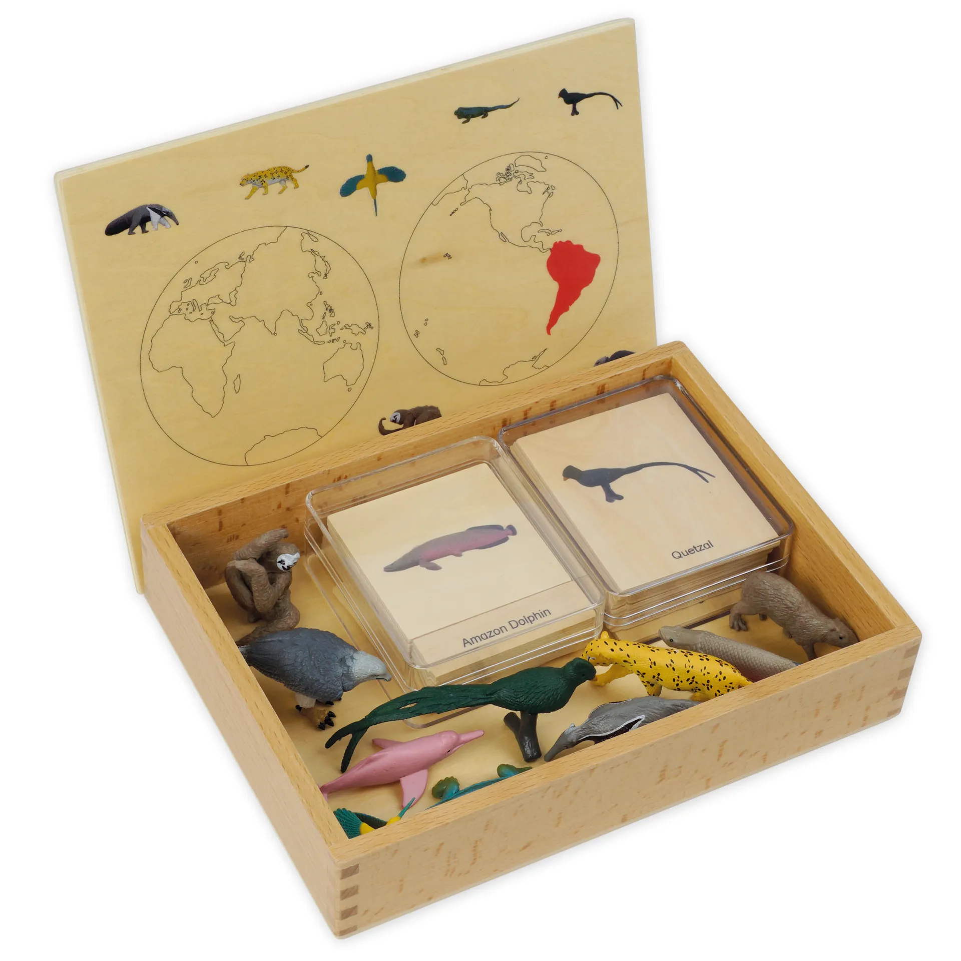 TimeTEX Mini-Tiere-Set Südamerika "Montessori Premium"