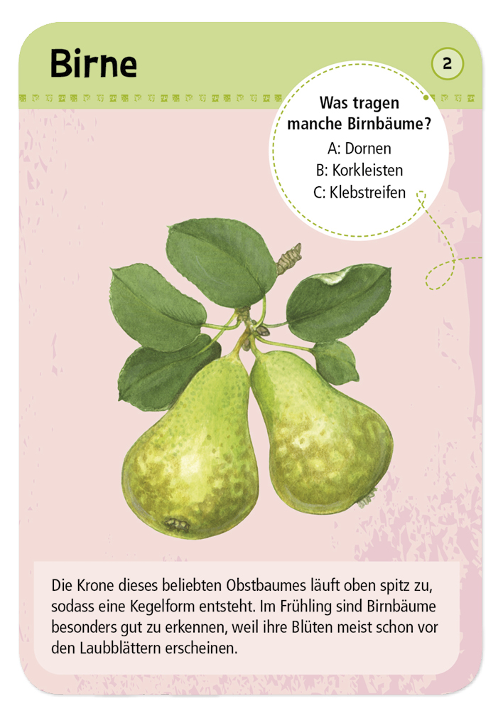 50 Garten- & Feldpflanzen entdecken und bestimmen