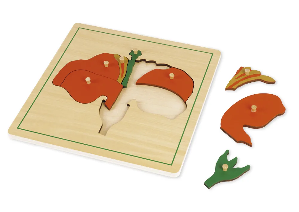 TimeTEX - Puzzle floare "Montessori Premium"