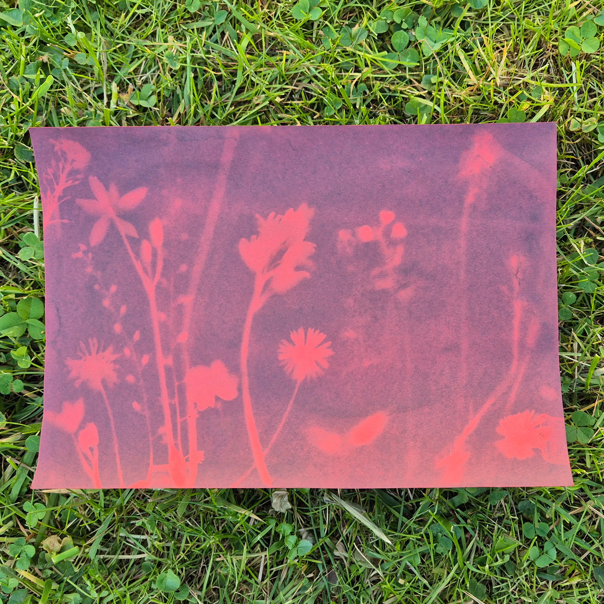 Foto-Solarpapier A5 farbig, mit Fixierscheibe, 16 Blatt