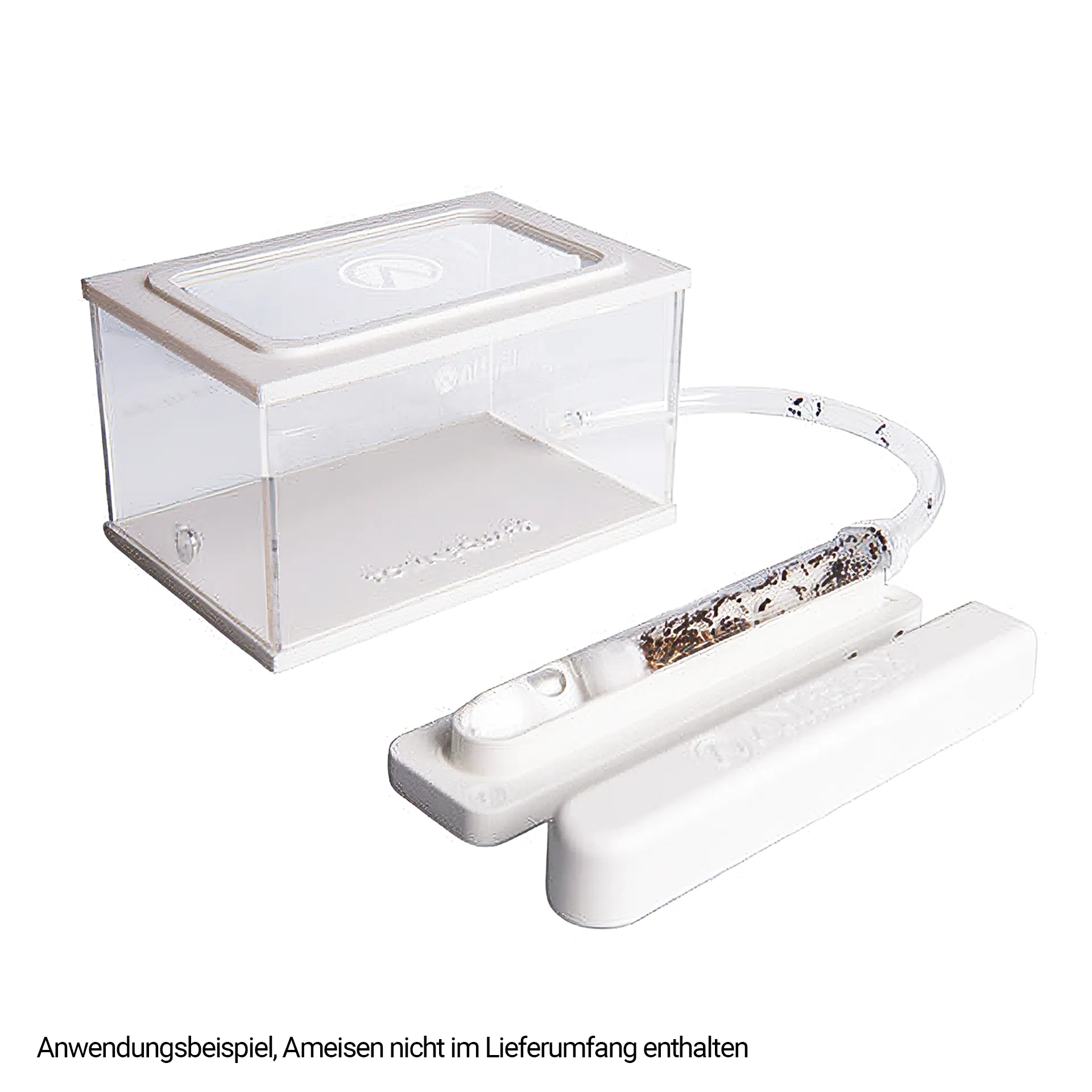 Ameisen-Formicarium aus Kunststoff, mit Neststation und Arena