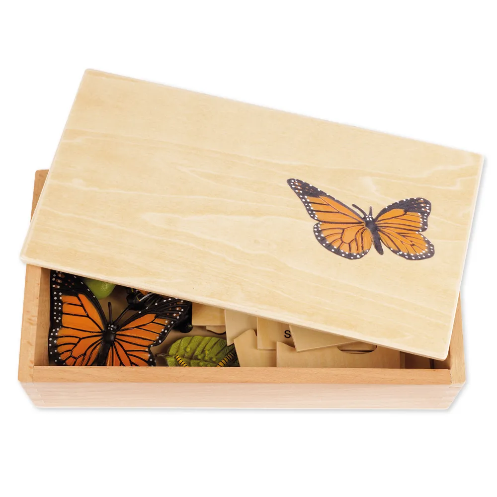 TimeTEX - Ciclul de viață la fluturi, în cutie din lemn "Montessori Premium"