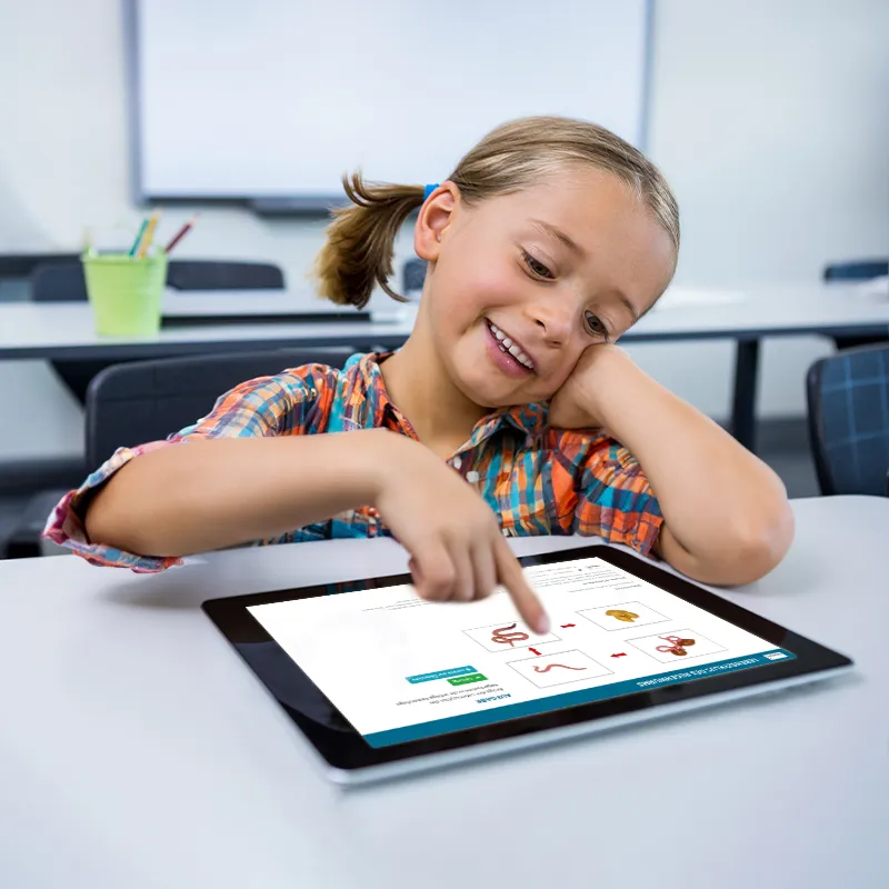 Modelo del ciclo vital "Lombriz de tierra", 4 uds.