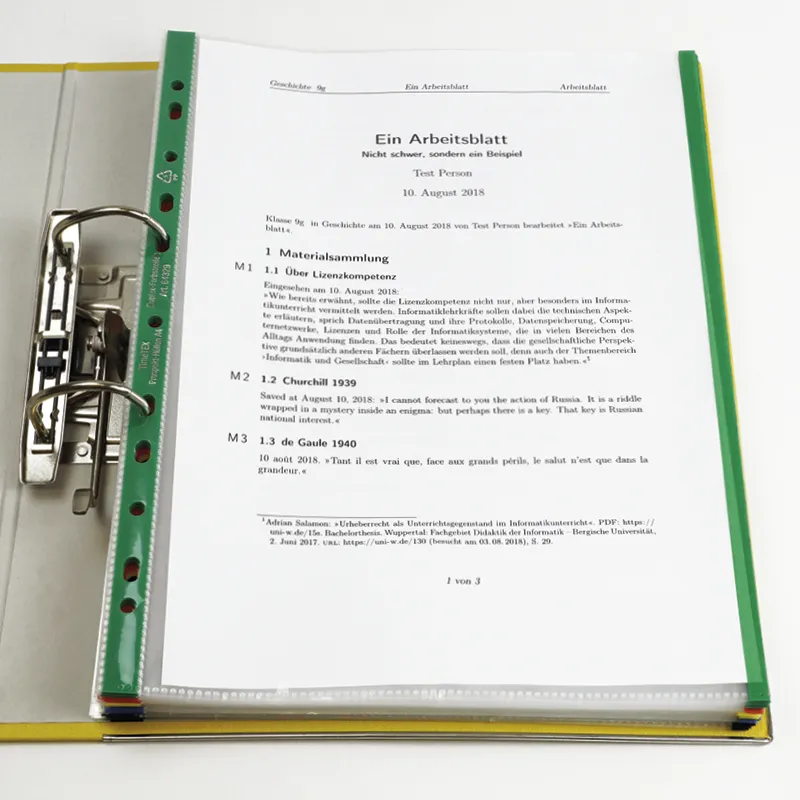 Prospekt-Hüllen A4 mit Duplex-Farbstreifen, 50 Stück