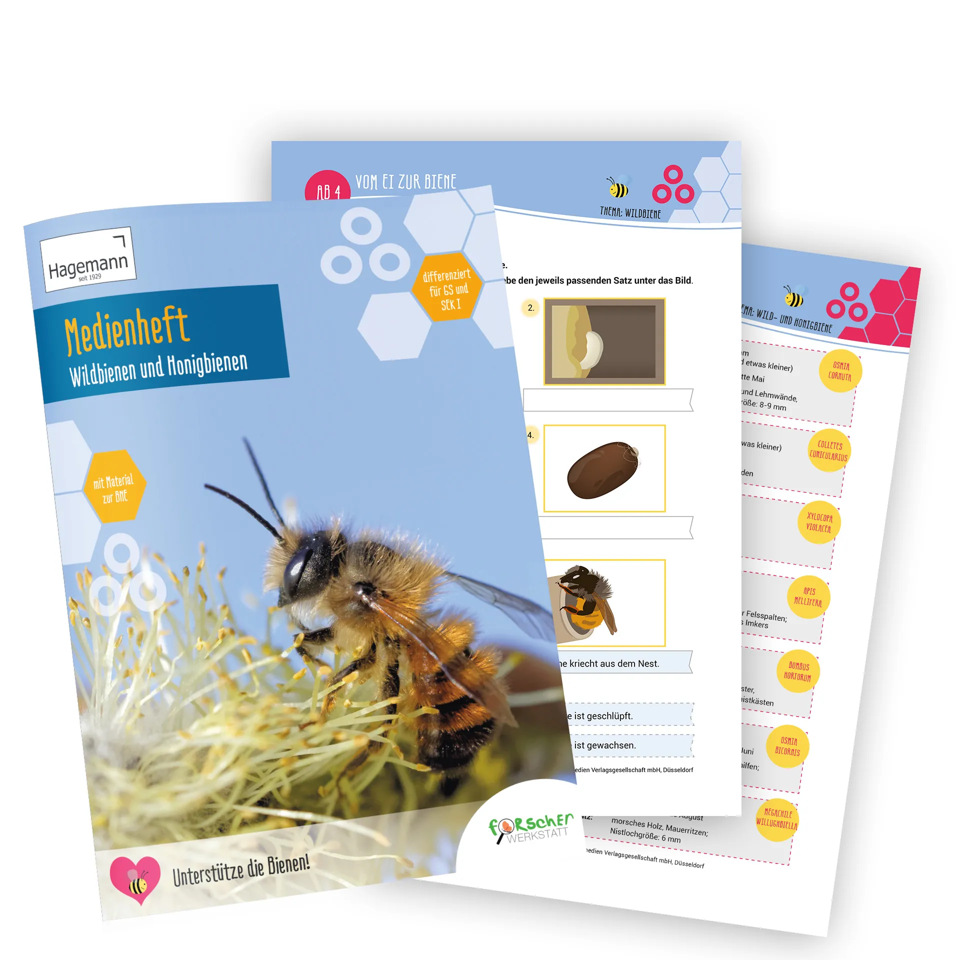 Medienheft "Wild- und Honigbienen", 44 Seiten