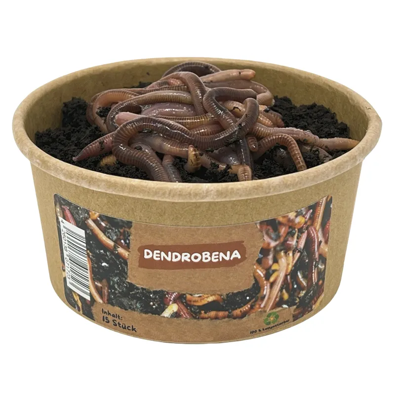 Nachbestellung Regenwürmer, 10-15 Stück
