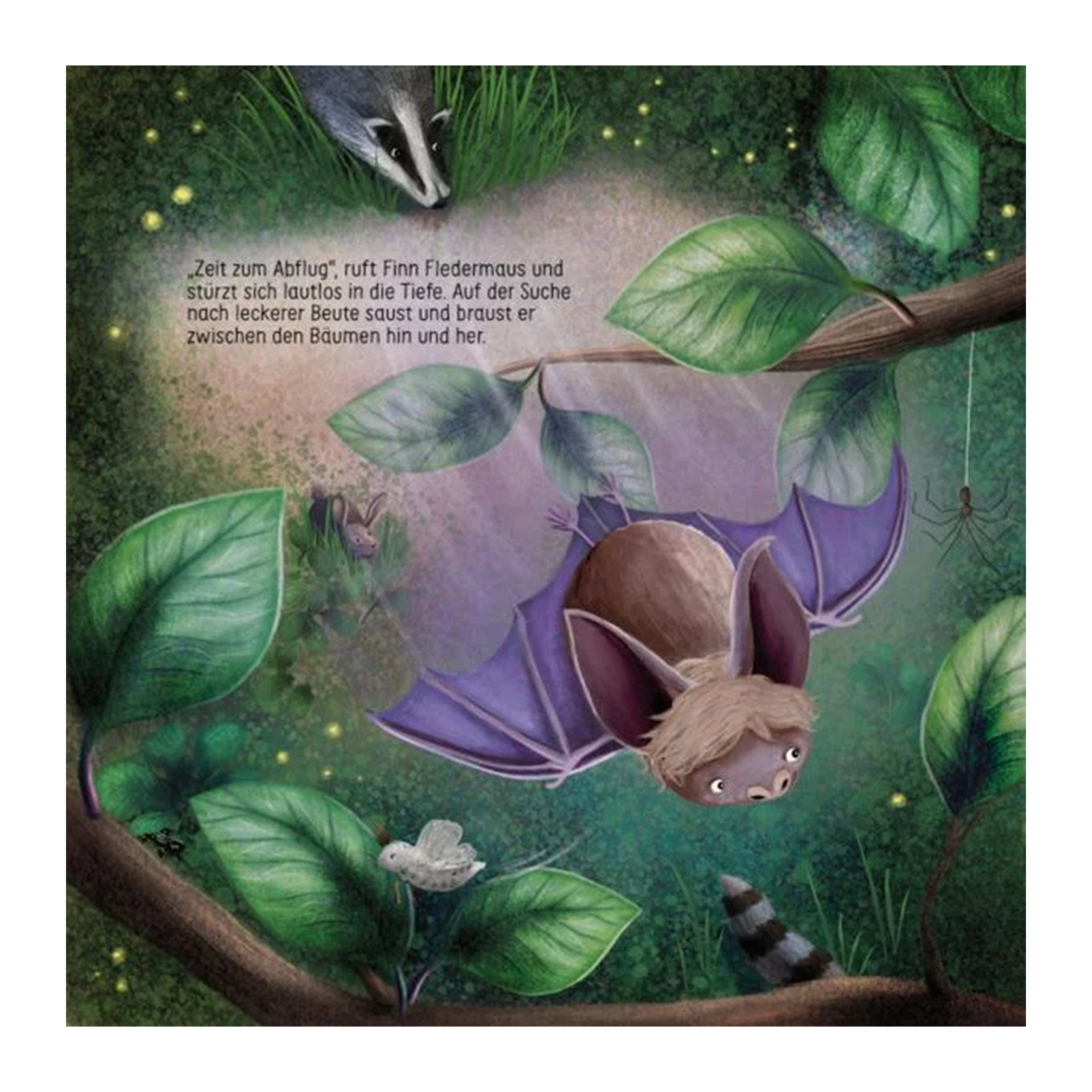 Buch "Finn Fledermaus und das Blenden in der Nacht", 48 Seiten