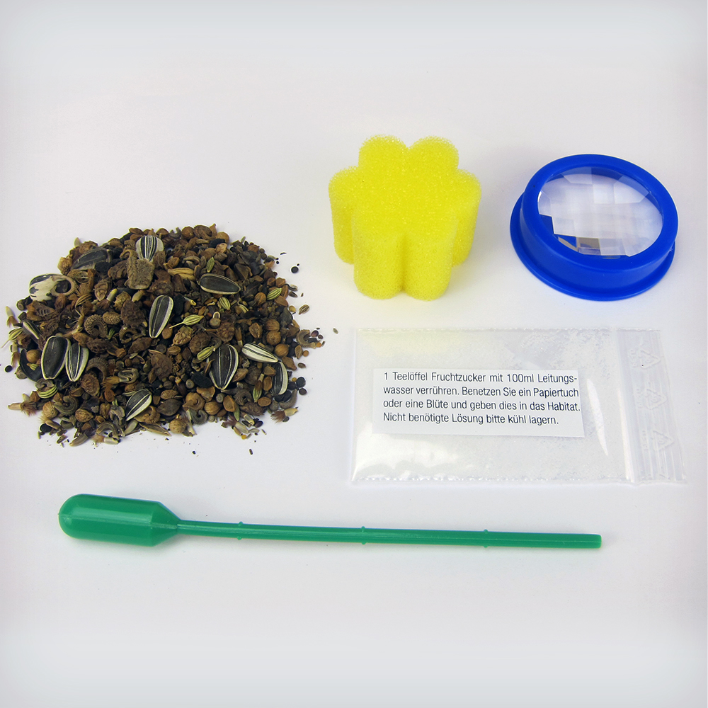 Kweekset "vlinders", compact, 7-delig